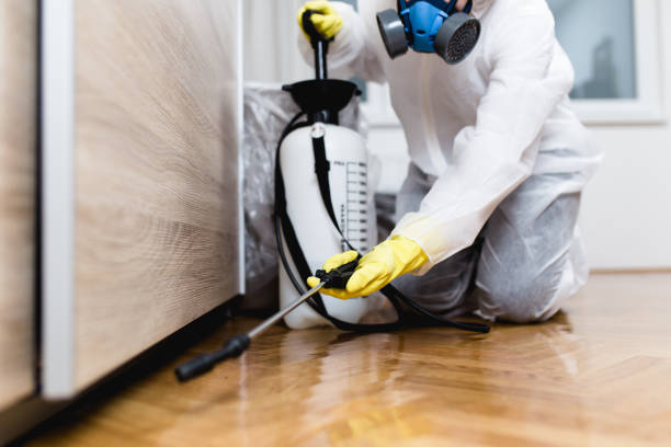 Best Pest Inspection Near Me  in Oradell, NJ