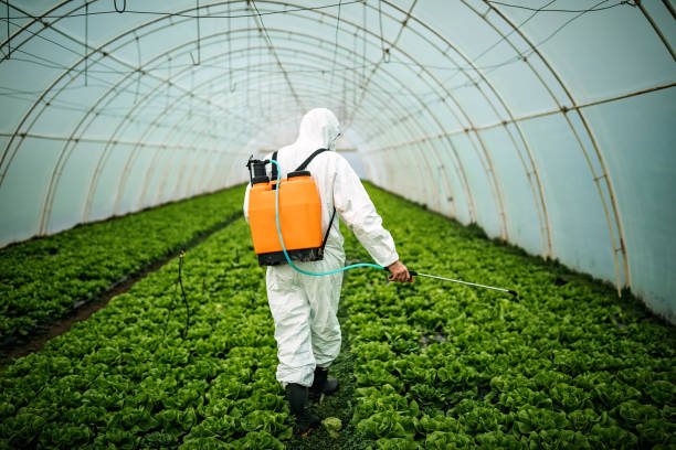 Best Mosquito Control Services  in Oradell, NJ