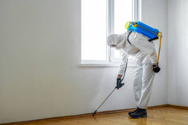 Best Pest Control Near Me  in Oradell, NJ