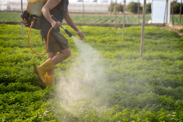 Best Ant Control Services  in Oradell, NJ