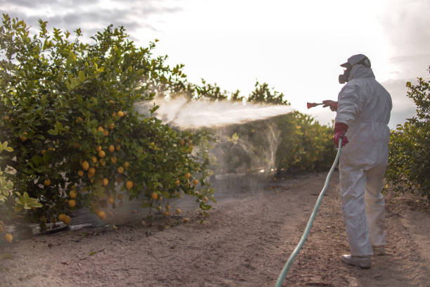 Best Commercial Pest Control Services  in Oradell, NJ