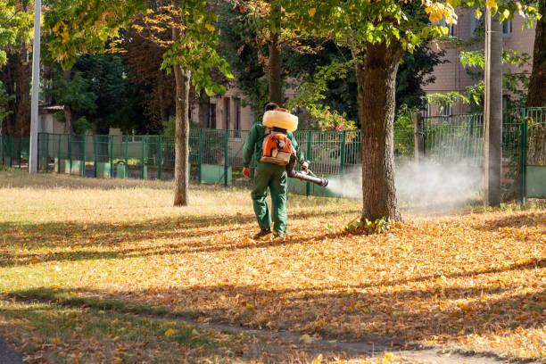 Best Affordable Pest Control Services  in Oradell, NJ