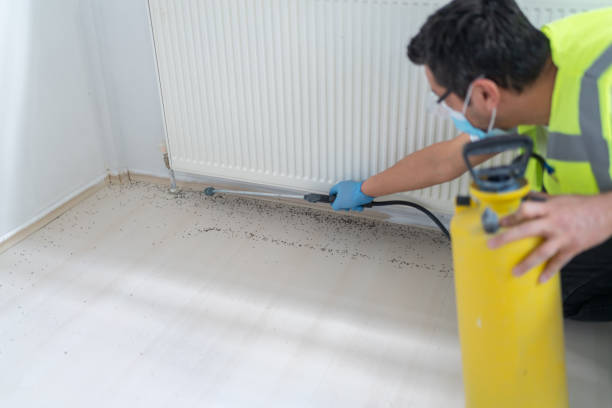 Best Pest Control Near Me  in Oradell, NJ